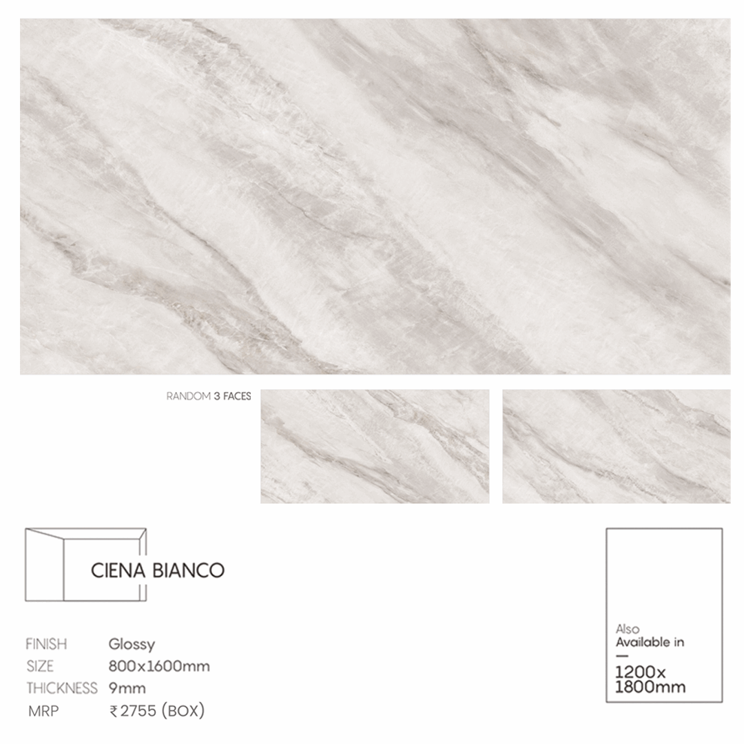 CIENA BIANCO - Radon India-- CIENA BIANCO-  Radon India